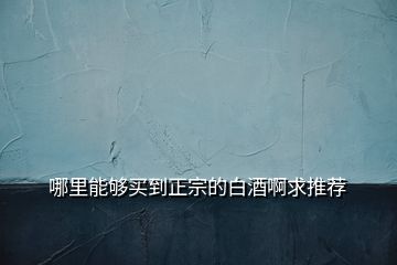 哪里能夠買(mǎi)到正宗的白酒啊求推薦