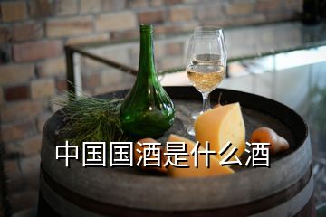 中國國酒是什么酒