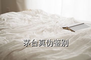 茅臺真?zhèn)舞b別