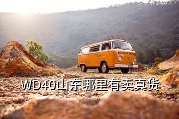 WD40山東哪里有賣真貨