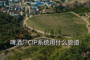 啤酒廠CIP系統(tǒng)用什么管道