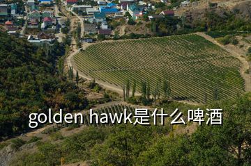 golden hawk是什么啤酒