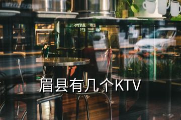 眉縣有幾個KTV