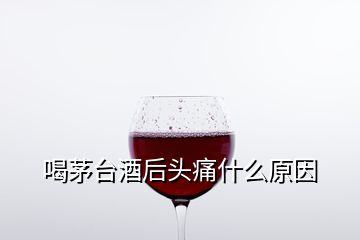 喝茅臺酒后頭痛什么原因