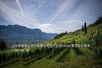 山東魯能泰山酒業(yè)有限公司生產(chǎn)53度500ML萊蕪珍白酒多少錢一瓶  搜