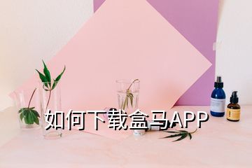 如何下載盒馬APP