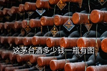 這茅臺(tái)酒多少錢一瓶有圖