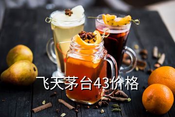 飛天茅臺43價格