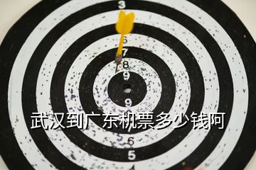 武漢到廣東機(jī)票多少錢阿