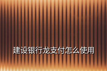 建設(shè)銀行龍支付怎么使用