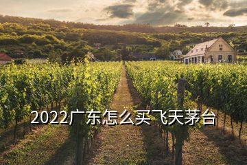 2022廣東怎么買飛天茅臺(tái)