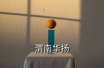 渭南華揚(yáng)