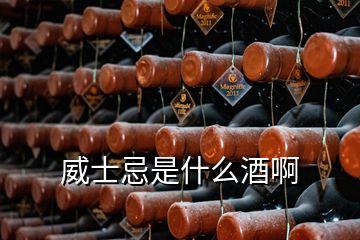 威士忌是什么酒啊