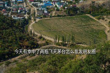 今天有幸中了兩瓶飛天茅臺(tái)怎么發(fā)發(fā)朋友圈