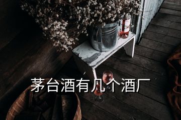 茅臺(tái)酒有幾個(gè)酒廠