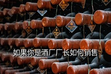 如果你是酒廠廠長如何銷售