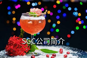 SGC公司簡介