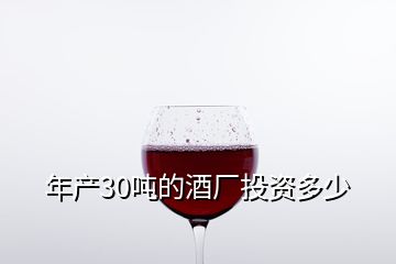 年產(chǎn)30噸的酒廠投資多少