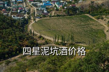 四星泥坑酒價格