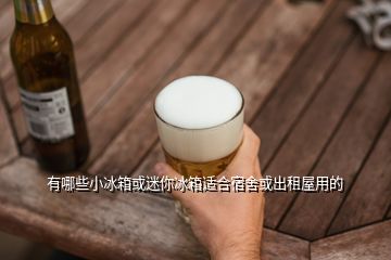 有哪些小冰箱或迷你冰箱適合宿舍或出租屋用的