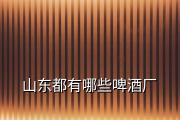 山東都有哪些啤酒廠