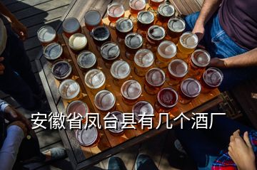 安徽省鳳臺縣有幾個酒廠