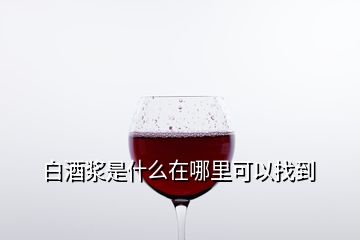 白酒漿是什么在哪里可以找到