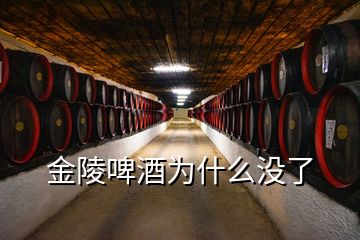 金陵啤酒為什么沒了