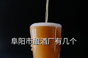 阜陽(yáng)市釀酒廠有幾個(gè)