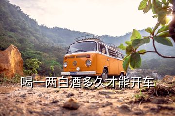 喝一兩白酒多久才能開車