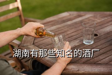 湖南有那些知名的酒廠