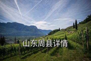 山東周縣詳情