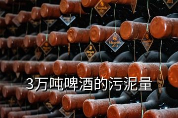 3萬噸啤酒的污泥量