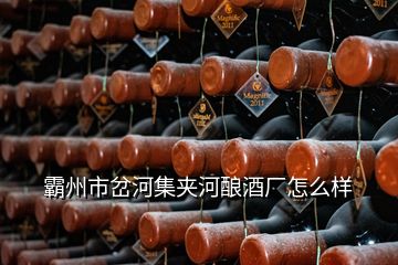 霸州市岔河集夾河釀酒廠怎么樣