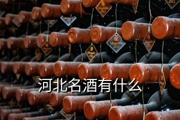 河北名酒有什么