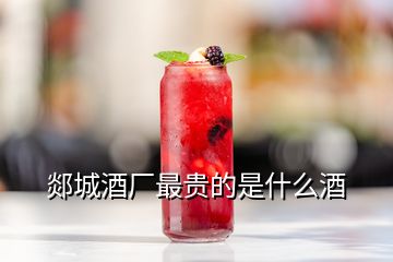 郯城酒廠最貴的是什么酒