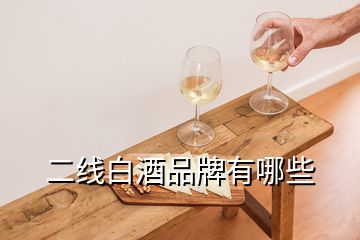 二線白酒品牌有哪些