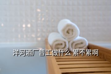 洋河酒廠普工做什么 累不累啊