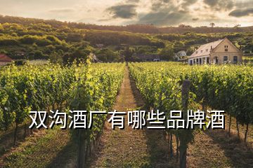 雙溝酒廠有哪些品牌酒