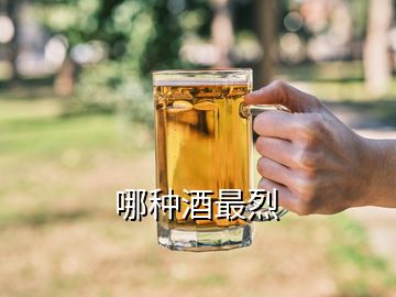 哪種酒最烈