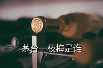 茅臺一枝梅是誰