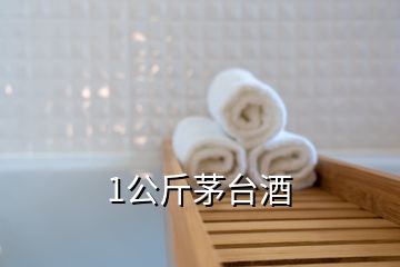 1公斤茅臺(tái)酒