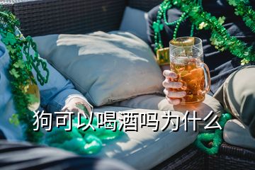 狗可以喝酒嗎為什么