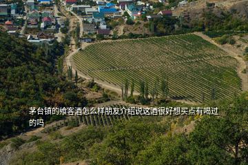 茅臺鎮(zhèn)的饗客酒怎么樣朋友介紹說這酒很好想買點有喝過的嗎