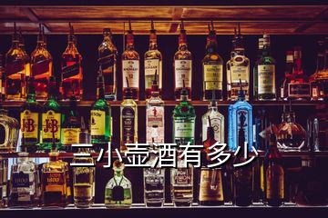 三小壺酒有多少