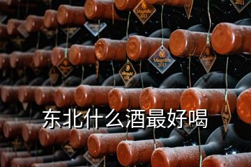 東北什么酒最好喝