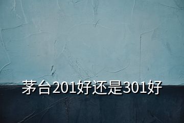 茅臺(tái)201好還是301好