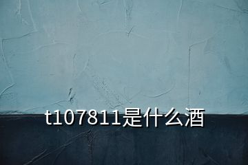 t107811是什么酒