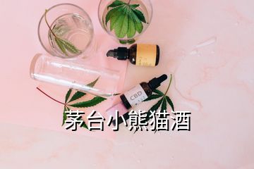 茅臺(tái)小熊貓酒