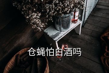 倉蠅怕白酒嗎